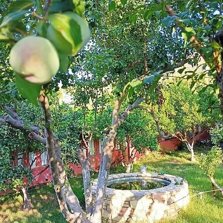 Fruit Garden Apartamento